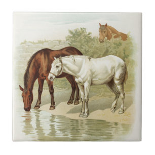 Vintage horse lovers home decor tile
