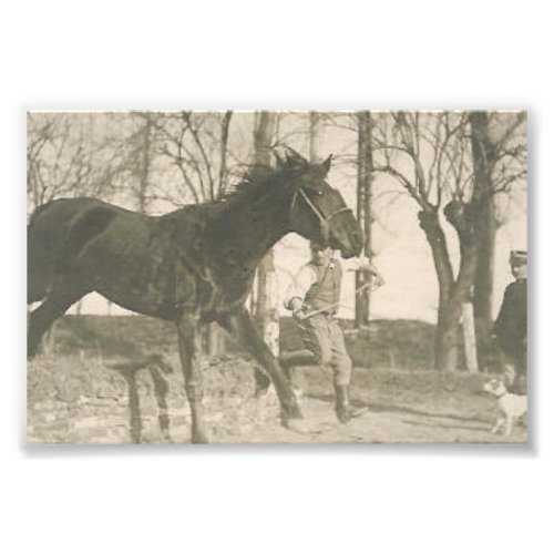 Vintage Horse Photo