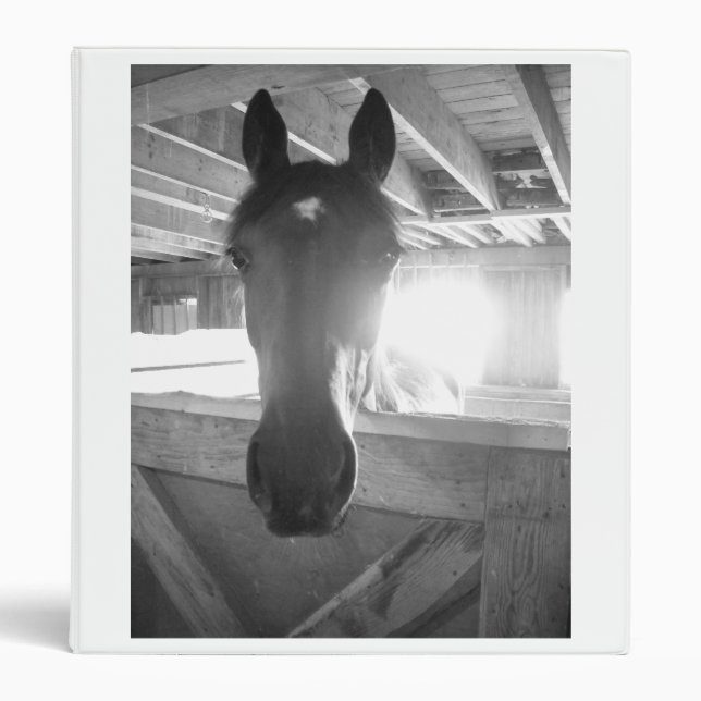 Vintage Horse Photo Binder (Front)