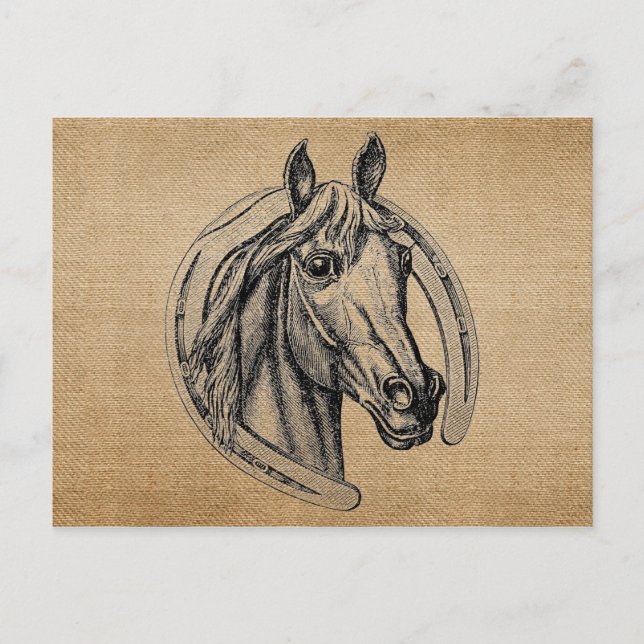 Vintage Horse Postcard (Front)