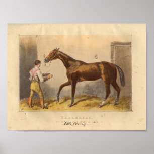Vintage Horse Print 1873 Thormanby