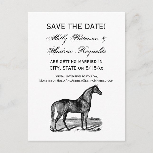 Vintage Horse Standing Announcement Postcard (Front)