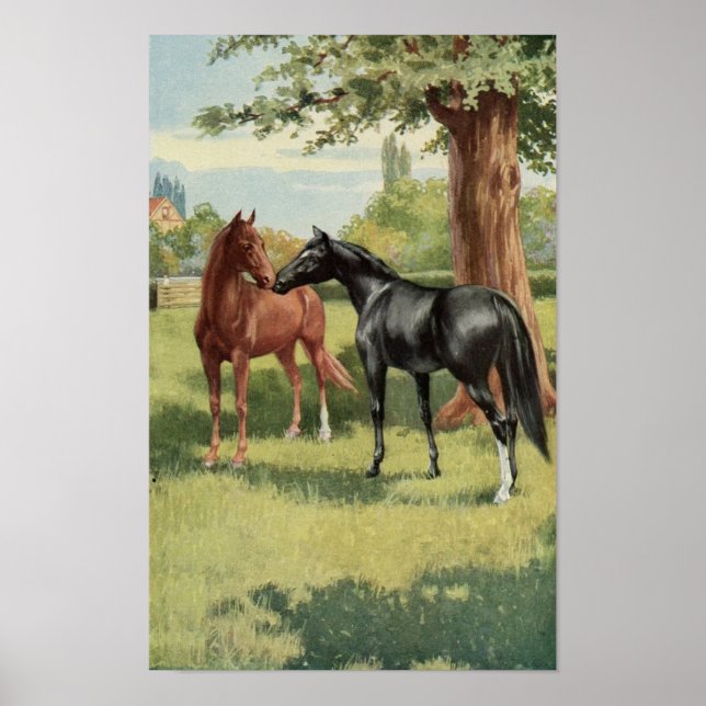 Vintage Horse The First Meeting Equestrian Poster (Front)