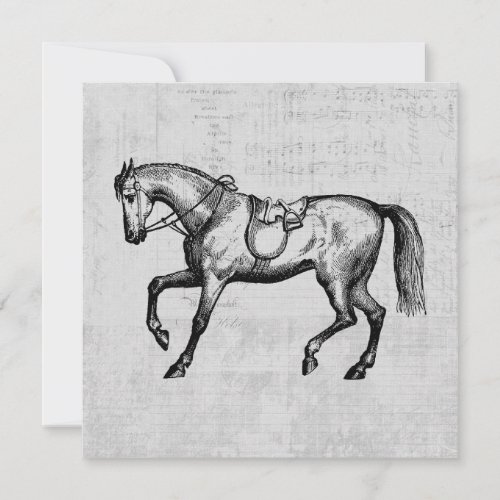 Vintage Horse with Music Paper Background Note Card