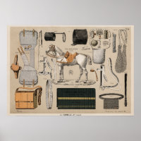Vintage horseback riding equipment (1890)