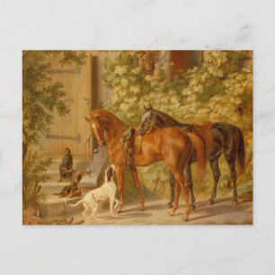 Vintage Horses at the Porch Albrecht Adam Postcard