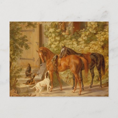 Vintage Horses at the Porch Albrecht Adam Postcard