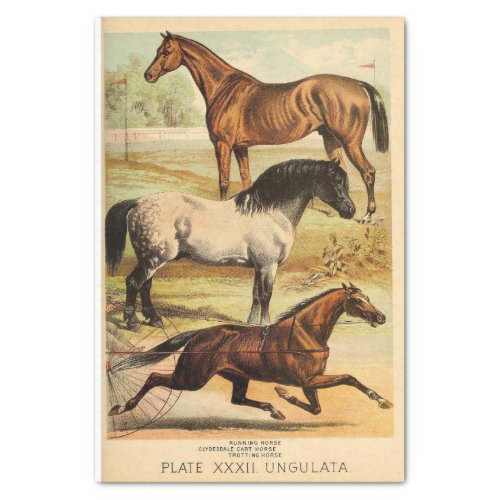 Vintage Horses Ephemera Decoupage Tissue Paper