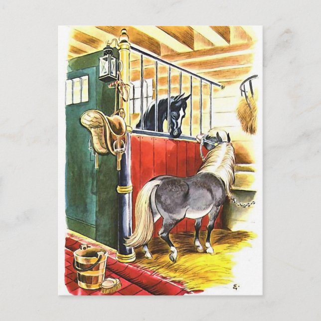 Vintage Horses Equestrian Postcard (Front)