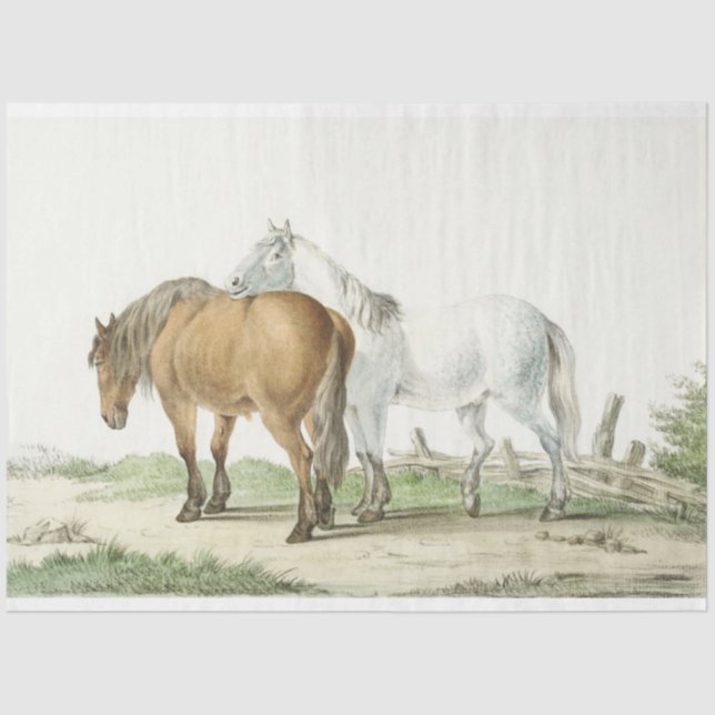 Vintage Horses in Pasture Country Tissue Paper (Front)