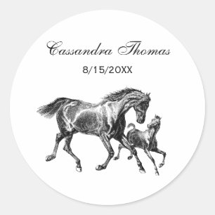 Vintage Horses Mother Baby Foal Classic Round Sticker