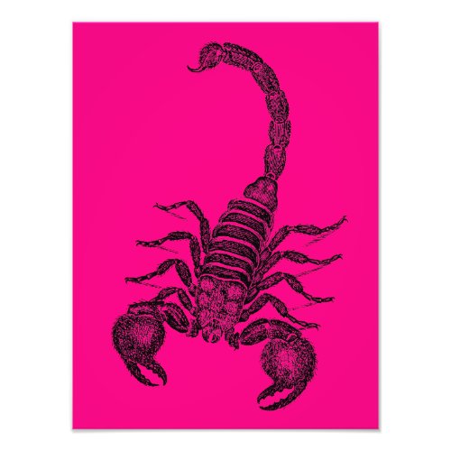 Vintage Hot Pink Scorpion Illustration _1800s Photo Print