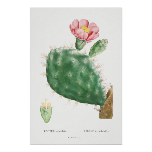 Vintage house plant illustration poster