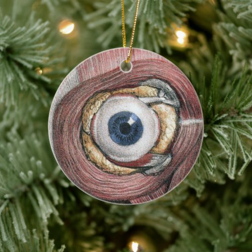 Vintage Human Anatomy Eyeball Eye with Muscles Ceramic Ornament