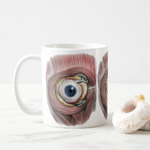 Vintage Human Anatomy, Eyeball Eye with Muscles Coffee Mug