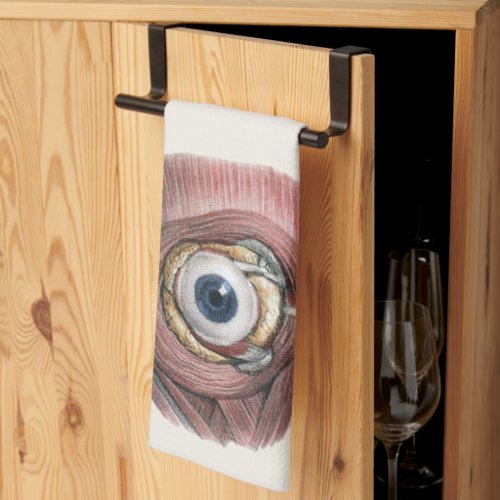 Vintage Human Anatomy Eyeball Eye with Muscles Kitchen Towel