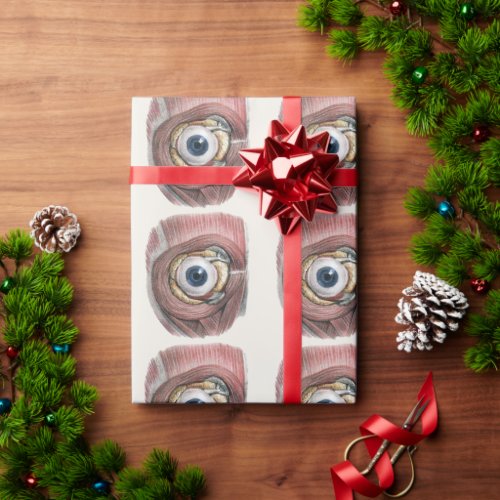 Vintage Human Anatomy Eyeball Eye with Muscles Wrapping Paper