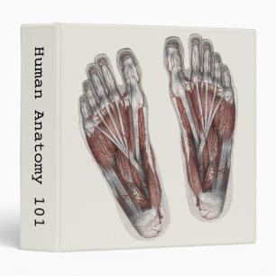 Vintage Human Anatomy Footprint Podiatry Feet 3 Ring Binder