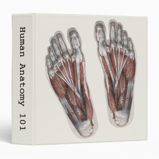 Vintage Human Anatomy Footprint Podiatry Feet 3 Ring Binder