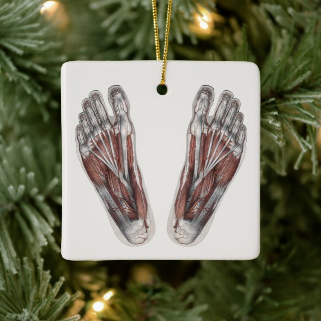 Vintage Human Anatomy Footprint Podiatry Feet Ceramic Ornament (Tree)