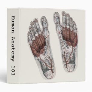 Vintage Human Anatomy Footprint Podiatry Foot 3 Ring Binder
