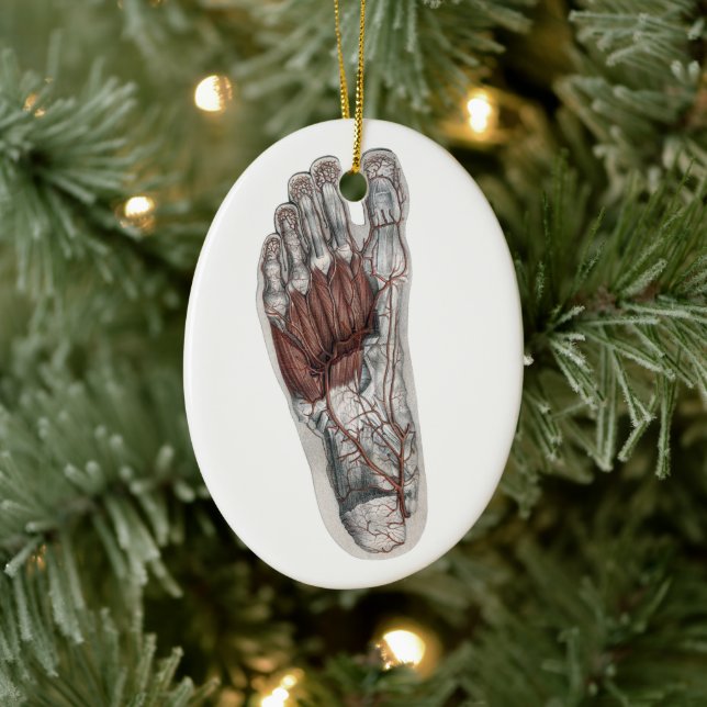Vintage Human Anatomy Footprint Podiatry Foot Ceramic Ornament (Tree)