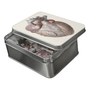 Vintage Human Anatomy Heart Organs Healthy Jigsaw Puzzle