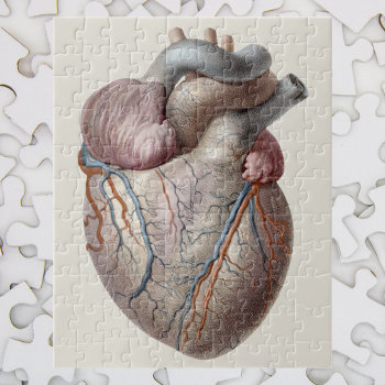 Vintage Human Anatomy Heart Organs Healthy Jigsaw Puzzle by YesterdayCafe at Zazzle