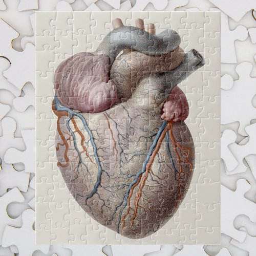 Vintage Human Anatomy Heart Organs Healthy Jigsaw Puzzle