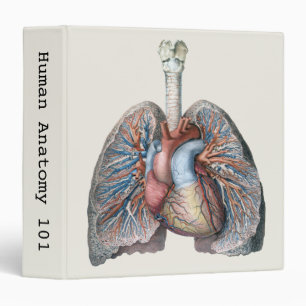 Vintage Human Anatomy Lungs Heart Organs Blood 3 Ring Binder