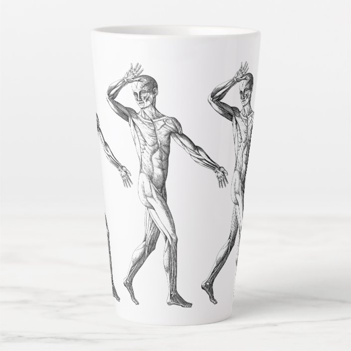 Vintage Human Anatomy Male Body Muscles Latte Mug Zazzle Com