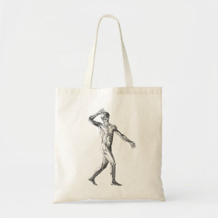 Vintage Human Anatomy, Male Body Muscles Tote Bag