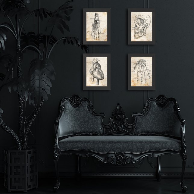 Vintage Human Anatomy Prints (Creator Uploaded)
