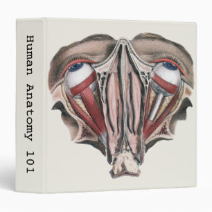 Vintage Human Anatomy Science, Eyeballs Eyes 3 Ring Binder