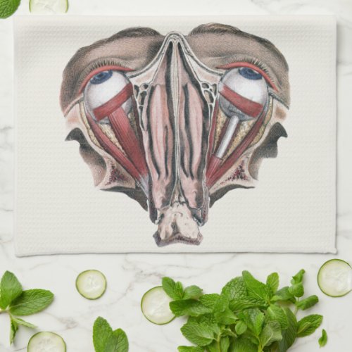 Vintage Human Anatomy Science Eyeballs Eyes Kitchen Towel