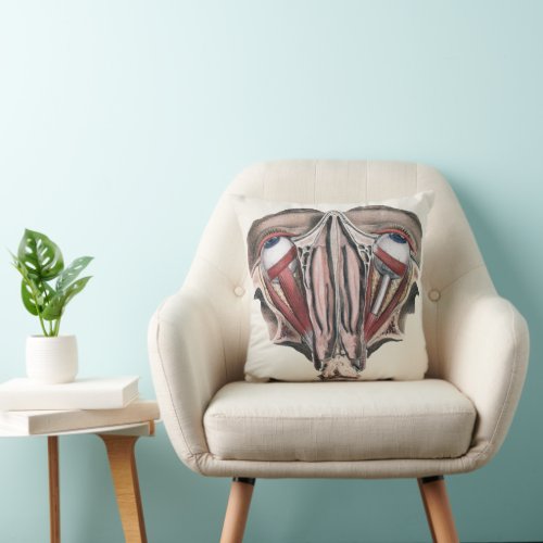 Vintage Human Anatomy Science Eyeballs Eyes Throw Pillow