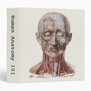 Vintage Human Anatomy Science, Head Throat Nose 3 Ring Binder