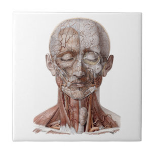 Vintage Human Anatomy Science, Head Throat Nose Ceramic Tile