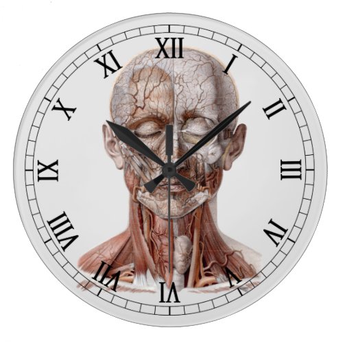 Vintage Human Anatomy Science, Head Throat Nose Large Clock