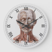 Vintage Human Anatomy Science, Head Throat Nose