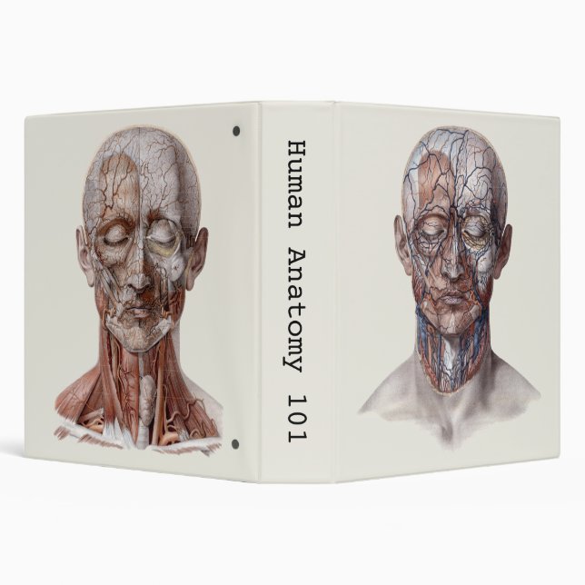 Vintage Human Anatomy Science Heads 3 Ring Binder (Background)