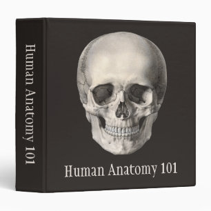 Vintage Human Anatomy Skull, Halloween Skeleton 3 Ring Binder