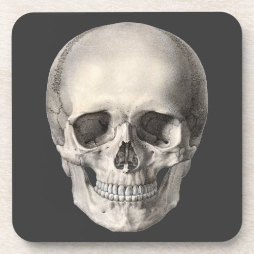 Vintage Human Anatomy Skull Halloween Skeleton Beverage Coaster