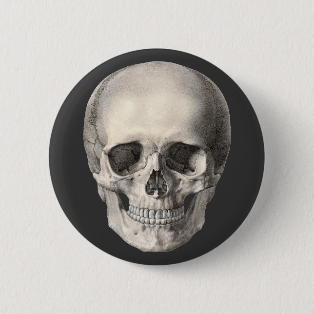 Vintage Human Anatomy Skull, Halloween Skeleton Button (Front)
