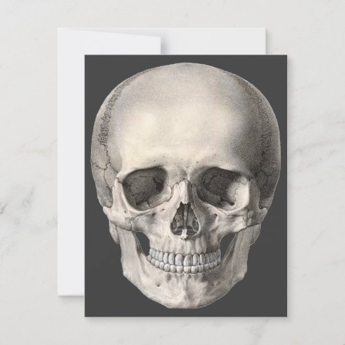 Vintage Human Anatomy Skull Halloween Skeleton Card