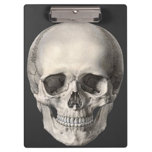 Vintage Human Anatomy Skull Halloween Skeleton Clipboard