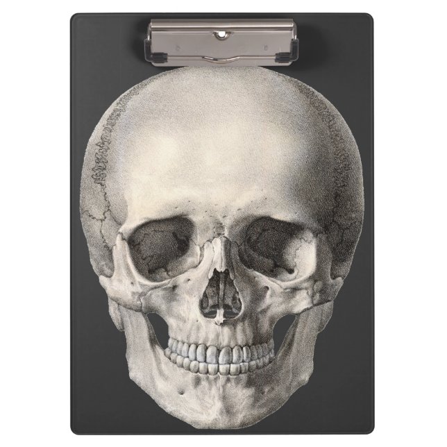 Vintage Human Anatomy Skull, Halloween Skeleton Clipboard (Front)