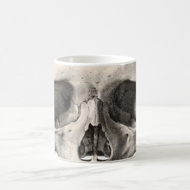 Vintage Human Anatomy Skull, Halloween Skeleton Coffee Mug (Center)