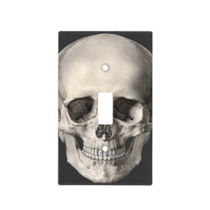 Vintage Human Anatomy Skull, Halloween Skeleton Light Switch Cover