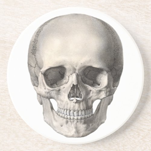 Vintage Human Anatomy Skull Halloween Skeleton Sandstone Coaster